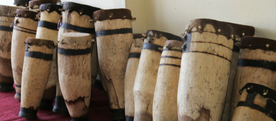 Research & Trainings