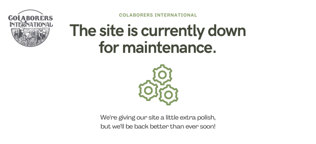 Website Maintenance1 E1772507397619 1024x468